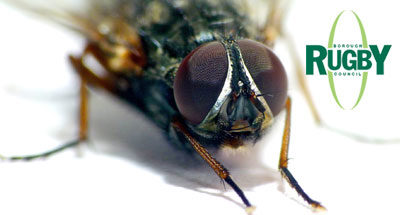 Fly Management – Brinklow Parish Council