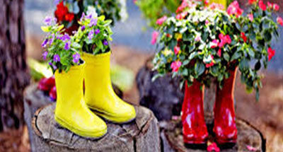 Welly Planting