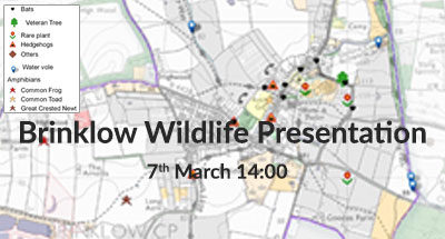 Brinklow Wildlife Presentation