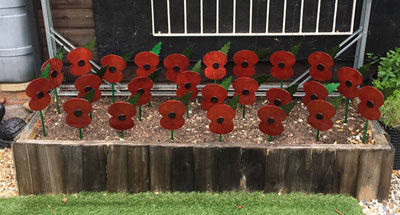 Poppy Appeal 2018