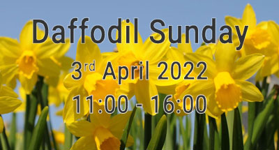 Daffodil Sunday