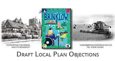 Objections to the Draft Local Plan 2025